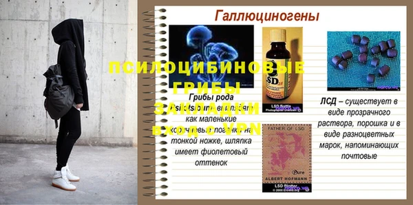 MDMA Медвежьегорск